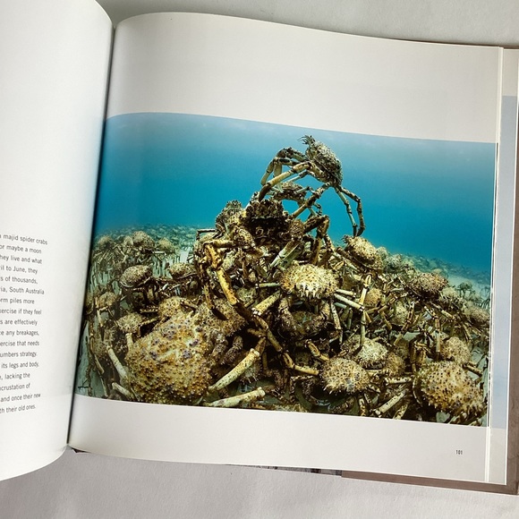 4 /💲20 🤑 Unforgettable Behaviour animal book - Picture 4 of 6
